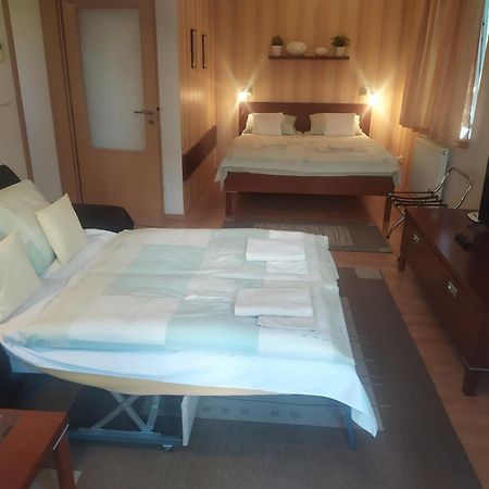 Gonda Apartments Hradec Kralove Luaran gambar