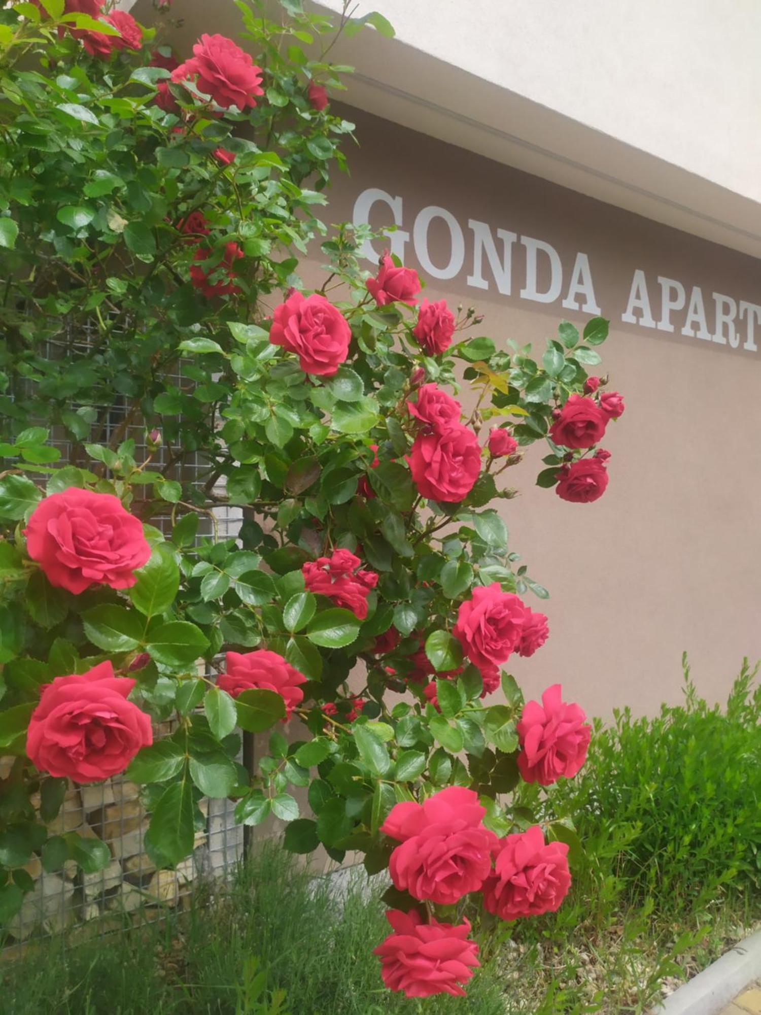 Gonda Apartments Hradec Kralove Luaran gambar